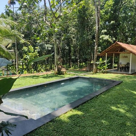 Pool Villa - The Humming Trees, Pala Lālam Buitenkant foto