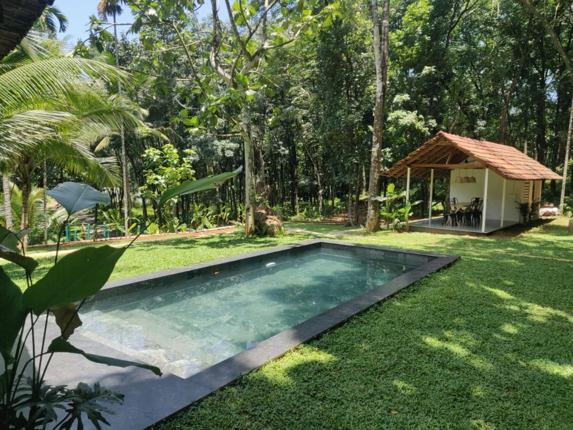 Pool Villa - The Humming Trees, Pala Lālam Buitenkant foto